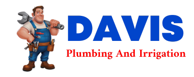 Trusted plumber in DELIGHT